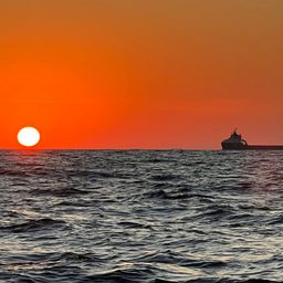 Pesca Costeira/Oceânica 11