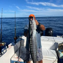 Pesca Costeira/Oceânica 10